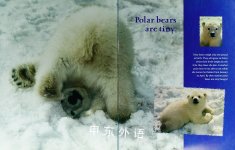 Polar Bears Mark Newman