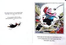 There Was an Old Lady Who Swallowed a Fly