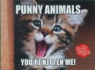 The Meme-ing of Life Punny Animals You're Kitten Me!