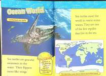 Sea Turtles