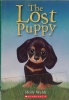 The lost puppy