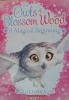 The owls of Blossom wood  A magical beginning