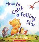 How to Catch a Falling Star Heidi and Daniel Howarth