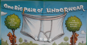 One Big Pair of Underwear
