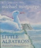 Little Albatross