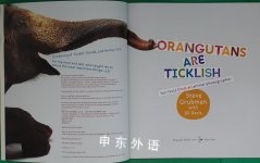 Orangutans Are Ticklish: Fun Facts from an Animal Photographer