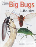 Big Bugs Life Size George Beccaloni 