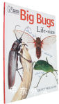 Big Bugs Life Size
