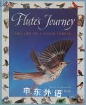 Flutes Journey the Life of a Wood Thrush Lynne Cherry
