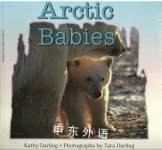 Arctic Babies Kathy Darling