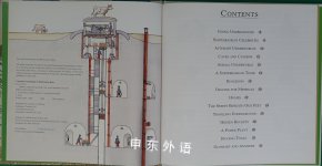Hidden Under the Ground : The World Beneath Your Feet