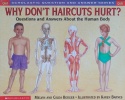 Why Dont Haircuts Hurt?