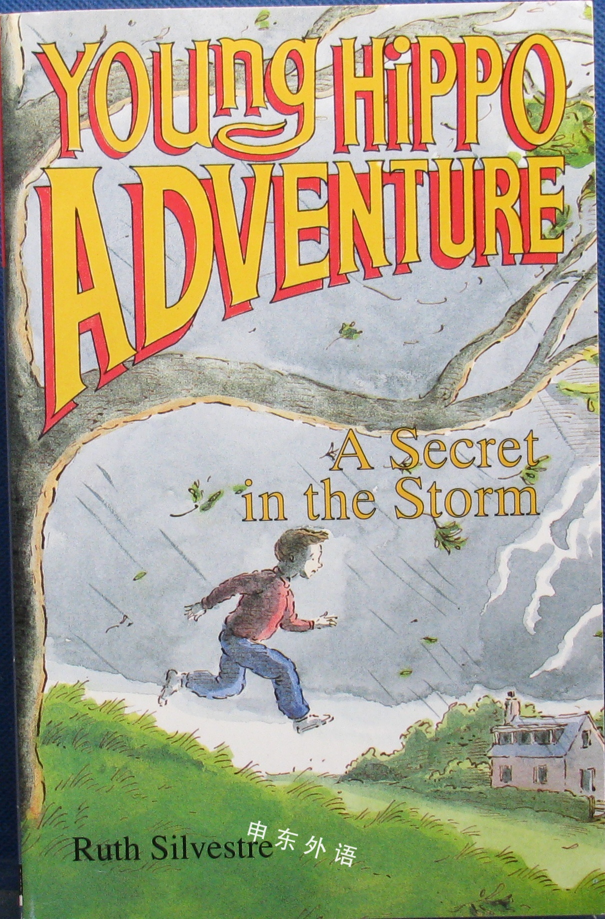 A Secret in the Storm (Young Hippo Adventure)_文学_儿童图书_进口图书_进口书,原版书,绘本书 ...