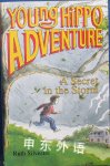 A Secret in the Storm (Young Hippo Adventure) Ruth Silvestre