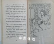 A Secret in the Storm (Young Hippo Adventure)