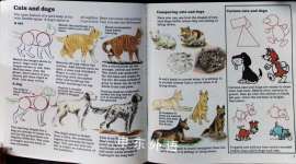 HOW TO DRAW ANIMALS