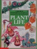 Usborne Mysteries & Marvels of Plant Life