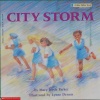 City Storm