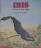 Ibis: A True Whale Story