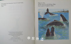Ibis: A True Whale Story
