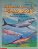 A Sea Full of Sharks