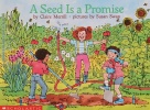 Seed Is a Promise