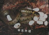 Snake
