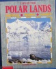 Life in the Polar Lands