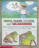 Frogs toads lizards and salamanders