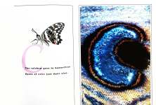 The Butterfly Alphabet
