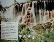 The Amazing Panda Adventure