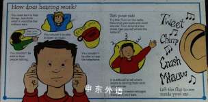 How do Your Senses Work