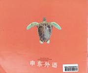 All About Turtles