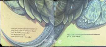 All About Turtles