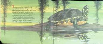 All About Turtles