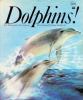 Dolphins