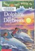 Dolphins at Daybreak The Magic Tree House