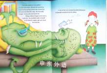 The Library Dragon