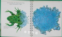 Frogs First Discovery Books