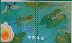 Frogs First Discovery Books