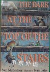 The Dark At The Top of the Stairs Sam McBratney