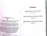Magic Christmas