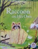 Raccoon on his own