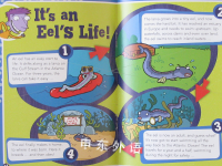 Pocket Facts Year 4: Mega Migrations 