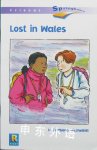 Springboard Stage 4, Friends, Lost in Wales Barbara Mitchelhill