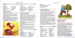 The Teddy Bear Cookbook