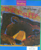 Houghton Mifflin The Nation's Choice: Little Big Book Theme 2 Grade 2 Time to Sleep
