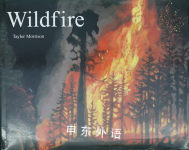 Wildfire Taylor Morrison