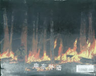 Wildfire
