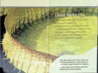 Weird and Wacky Plants